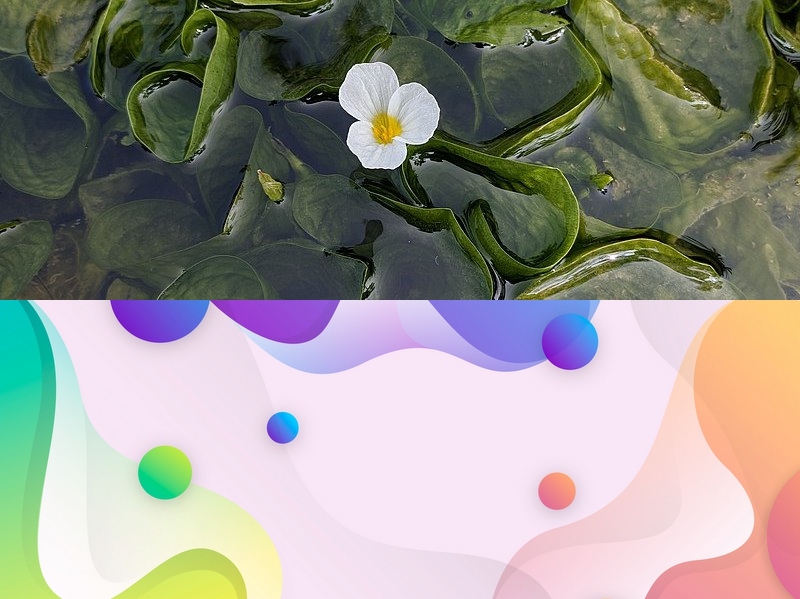 Web項目開(kāi)發(fā)