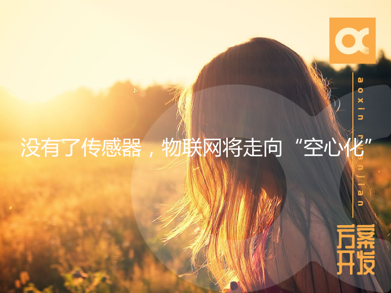 沒(méi)有了傳感器，物聯(lián)網(wǎng)將走向“空心化”